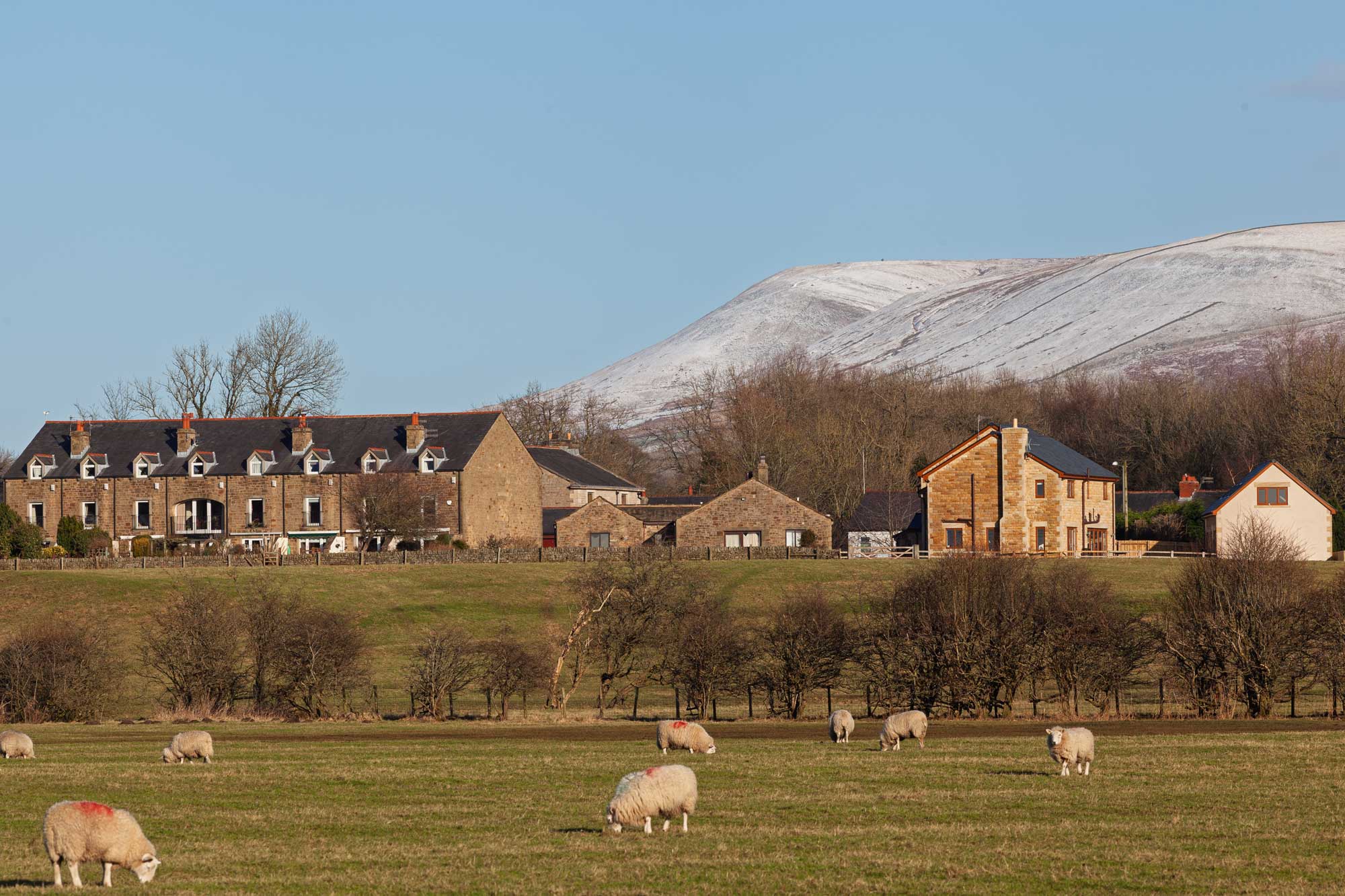 nethertown in february 2015