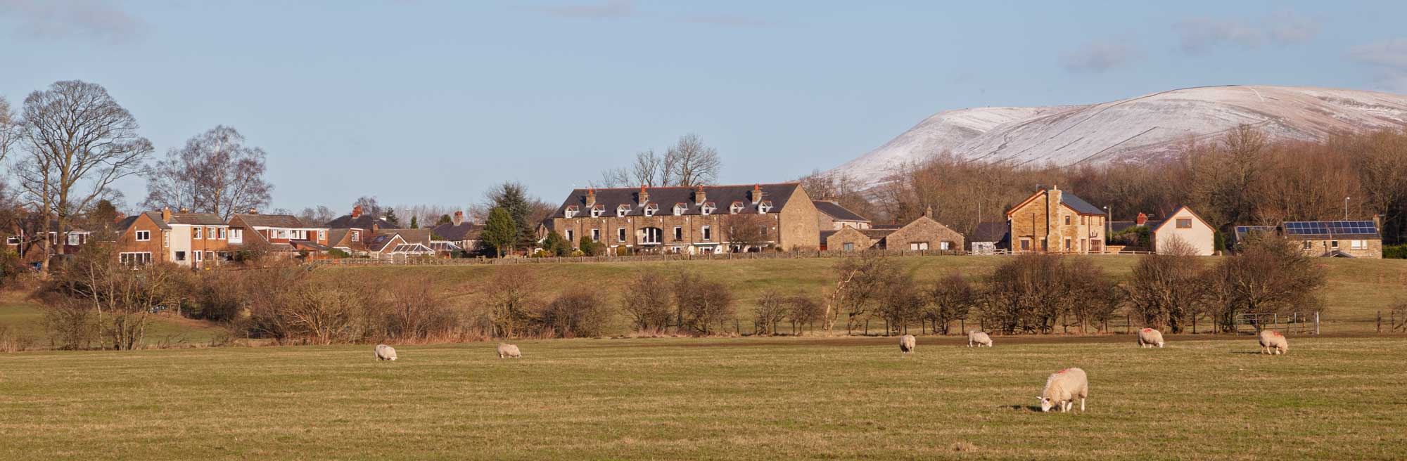 nethertown in february 2015